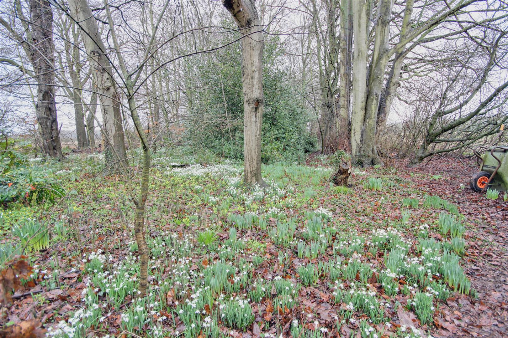 Kilnwick, Driffield
